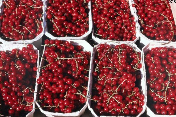 Baskets of currents at outdoor market. Stuttgart, Germany.