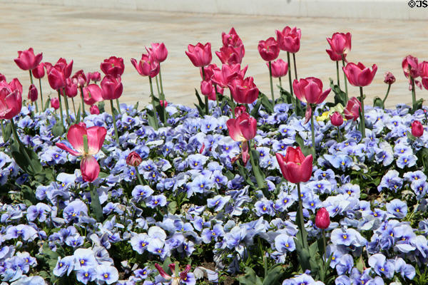 Garden of St Lorenz Basilica. Kempten, Germany.