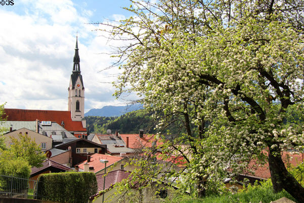 Assumption of Mary church beside fruit trees in flower. Bad Tölz, Germany.