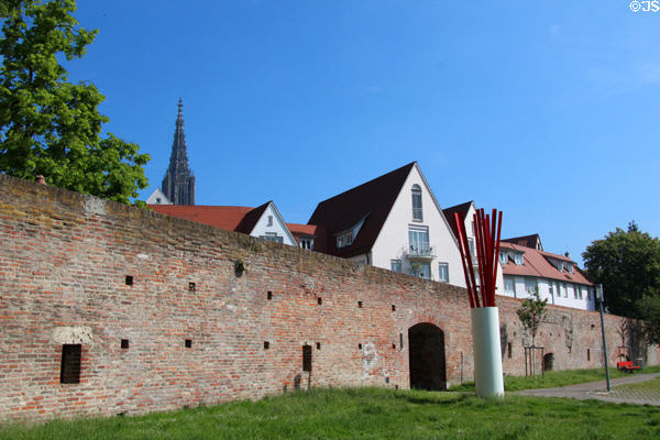 Ulm brick city wall overlooked by gabled houses & Ulm Münster. Ulm, Germany.