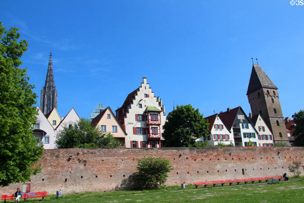 Ulm brick city wall overlooked by Ulm Münster, step gabled building with half-timbered oriel windows & ancient city gate of Metzgerturm. Ulm, Germany.