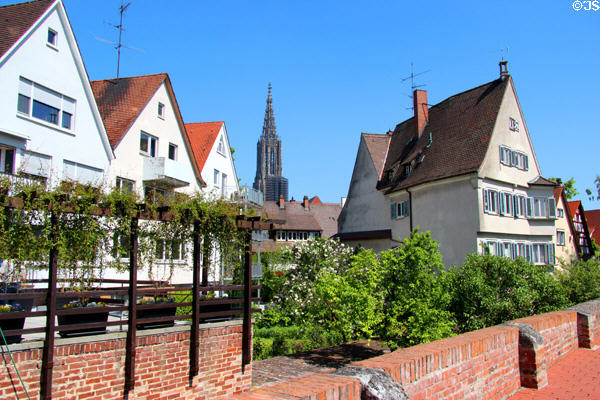 German style buildings near Blau River with Ulmer Münster in background. Ulm, Germany.