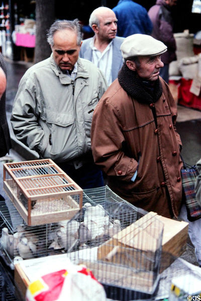 Sunday bird market on Isle de la Cité. Paris, France.