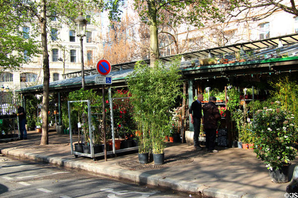 Cité Flower Market stalls. Paris, France.
