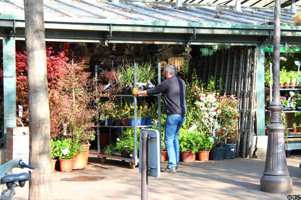 Cité Flower Market stalls. Paris, France.