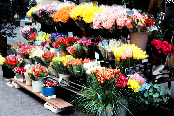 Cité Flower Market stalls. Paris, France.