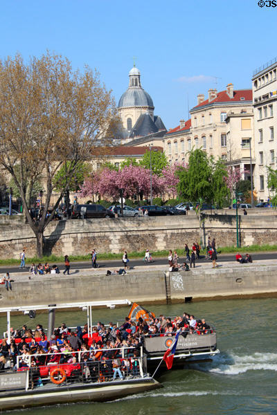Flowering trees on banks of Seine opposite Île St Louis. Paris, France.