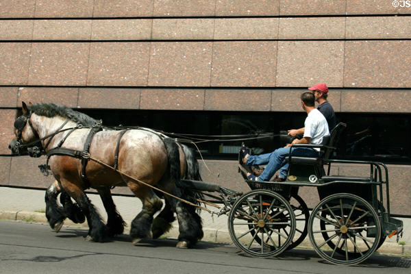 Horse & carriage. Strasbourg, France.