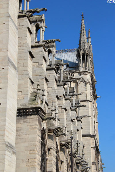 South facade of Notre Dame Cathedral with projecting gargoyles. Paris, France.