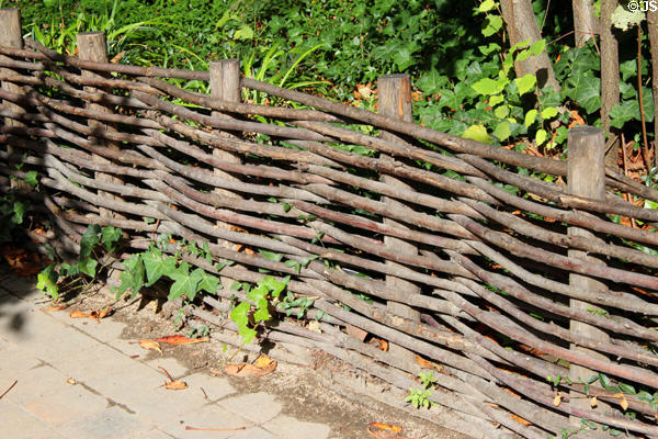 Tree branch woven fence in Latin Quarter. Paris, France.