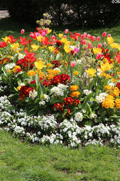 Flower bed at Cité Fleurie. Paris, France.