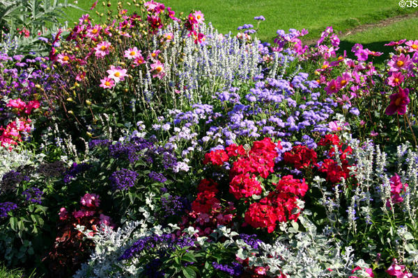 Flower bed at Luxembourg Gardens. Paris, France.