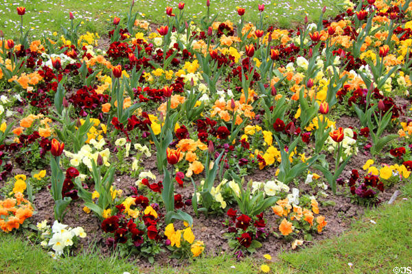 Flowers at Montmartre Cemetery. Paris, France.