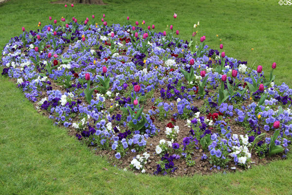 Flower bed at Place du Châtelet. Paris, France.