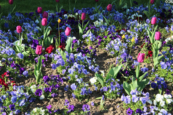 Flower bed at Place du Châtelet. Paris, France.