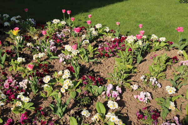 Flower bed at Place du Châtelet. Paris, France.