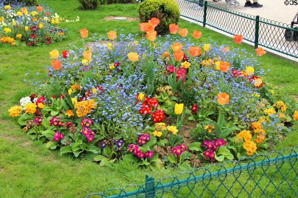 Flower garden at Saint-Germain-l'Auxerrois. Paris, France.