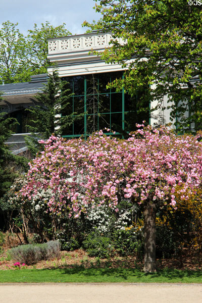 Flowering trees in Jardins des Champs Elysees. Paris, France.