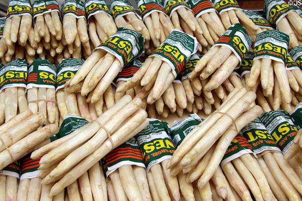 White asparagus in food stall. Paris, France.