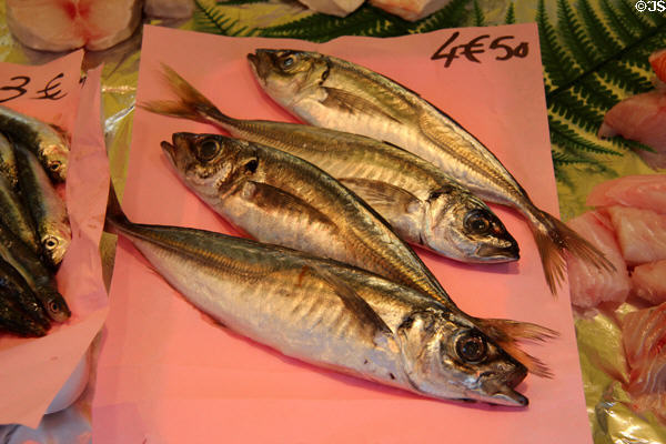 Fish for sale. Paris, France.