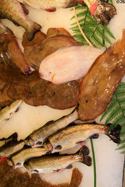 Variety of fish on offer in seafood store. Paris, France.