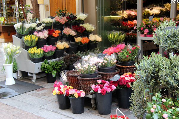 Flower stand in Parisian market. Paris, France.