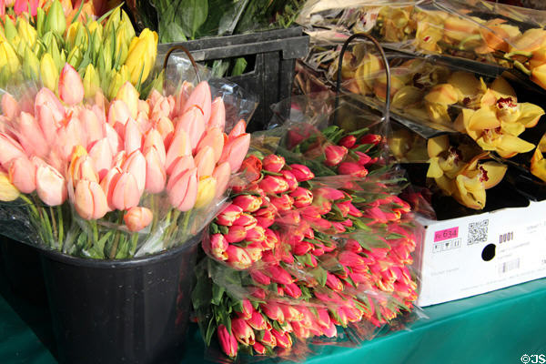 Tulips & orchids in flower shop. Paris, France.