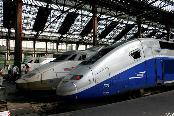 TGV trains in Paris rail station. Paris, France.