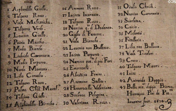 Detail of Latin botanical names for Study of flowers (c1614-5) by Girolamo Pini of Florence at Museum of Decorative Arts. Paris, France.