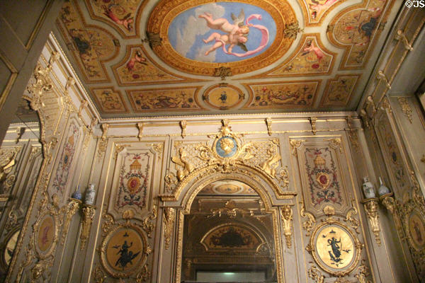 Ceiling of Rochegude mansion of Avignon (c1725) by architect Thomas Laïné at Museum of Decorative Arts. Paris, France.