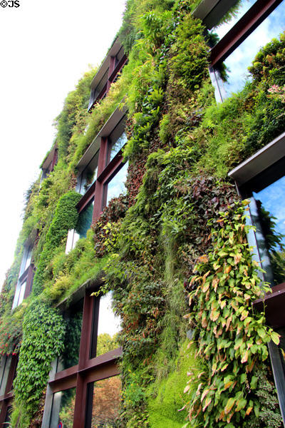 Living green wall (2006) by Patrick Blanc at Musée du quai Branly. Paris, France. Architect: Jean Nouvel.