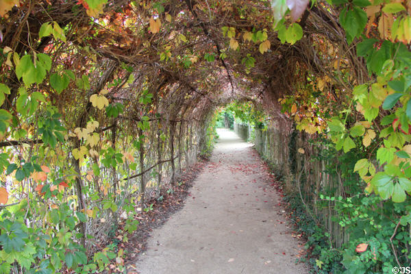 Grape arbor in garden at Marie Antoinette farm. Versailles, France.