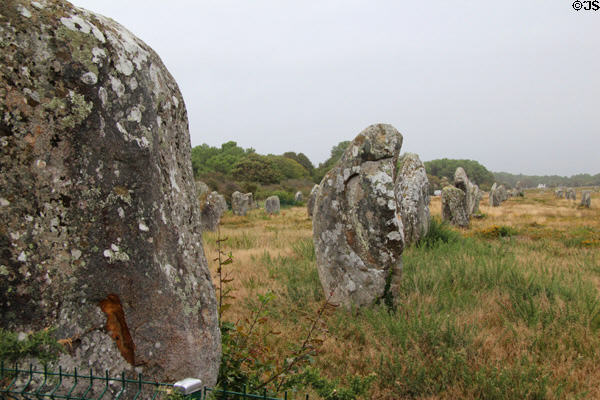 Alignment of prehistoric menhirs (aka standing stones). Carnac, France.