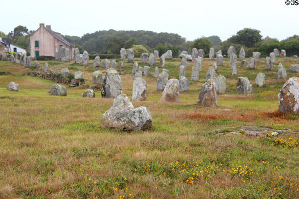 Lines of menhirs with dwelling in background. Carnac, France.