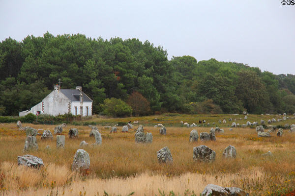 Menhirs with typical country home in background. Carnac, France.