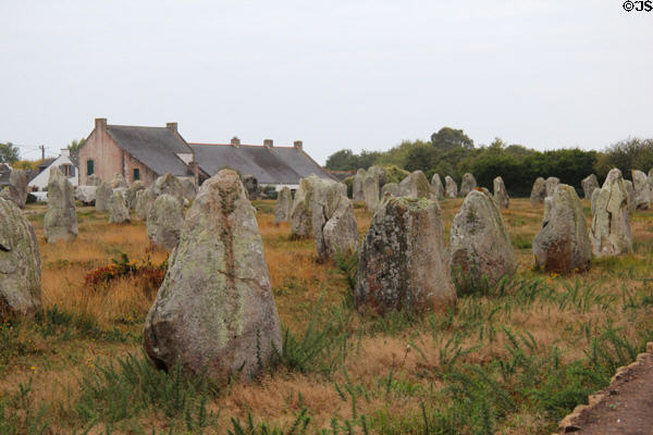 Menhirs with small village in background. Carnac, France.