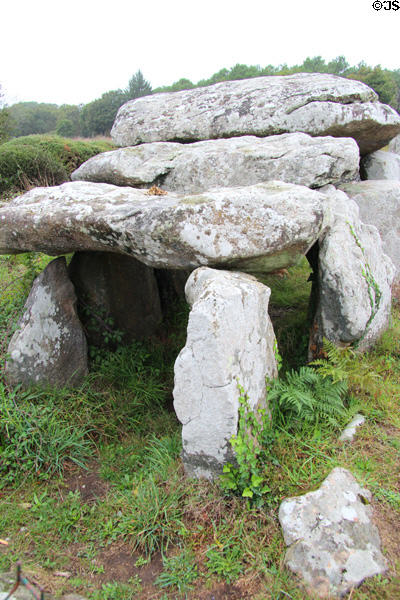 Dolmen, two vertical megaliths supporting large stone capstones, at Kermario Alignments. Carnac, France.