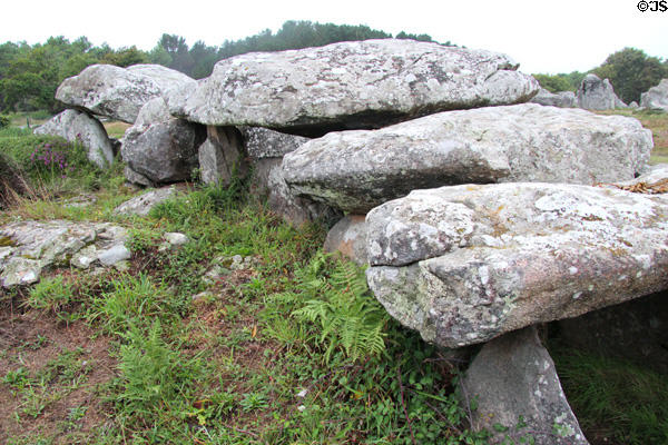 Dolmens at Kermario Alignments. Carnac, France.