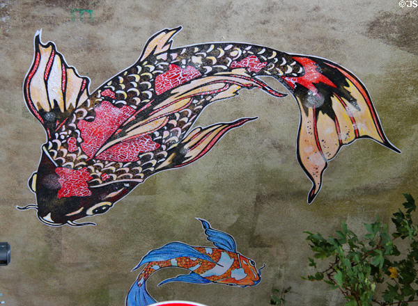Carp decorating wall along street in historic center. Auray, France.