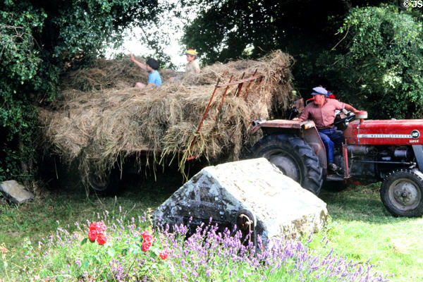 Brittany farmer pulling hay with tractor. Carnac, France.