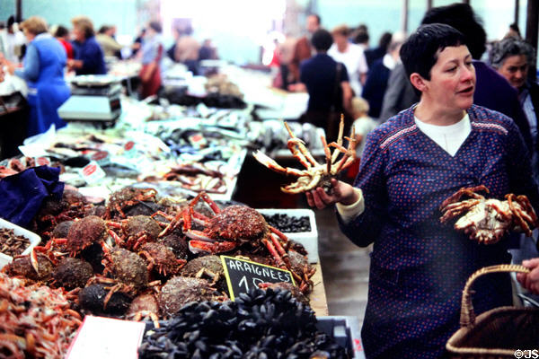 Crabs at Vannes street market. Vannes, France.