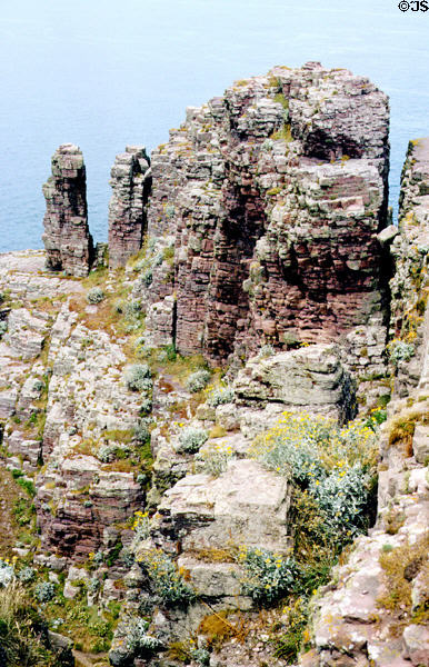 Rocky coast at Cap Fréhel. France.