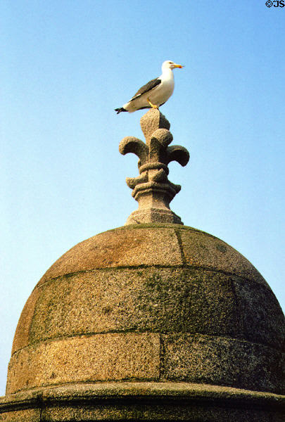 Gull perched atop bastion fleur-de-lis. St Malo, France.