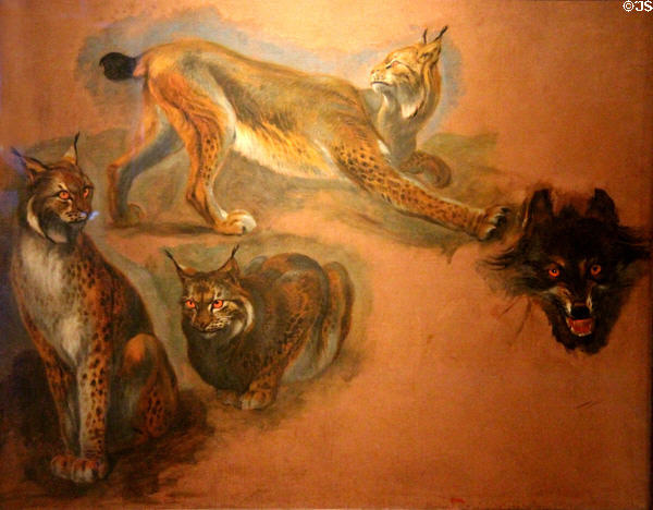 Lynx & wolf painting (17thC) by Pieter Boel at Museum of Fine Arts of Rennes. Rennes, France.