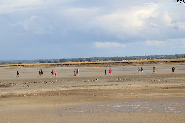 Visitors exploring tidal flats near city wall. Mont-St-Michel, France.