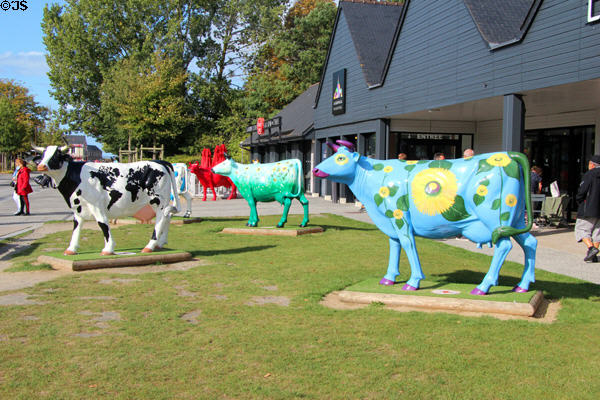Painted cows statues decorating town of La Caserne, gateway to Mont-St-Michel. Mont-St-Michel, France.