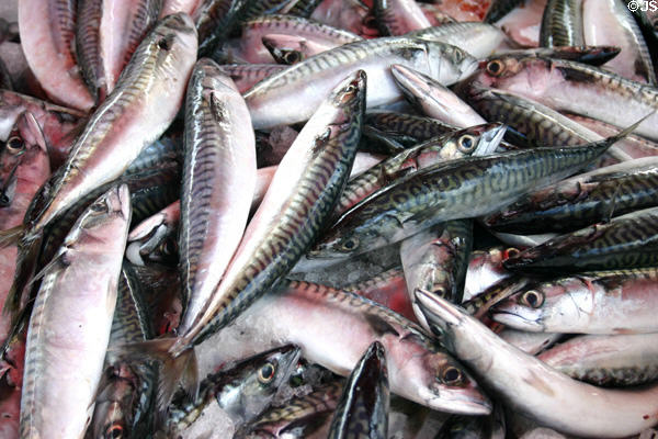 Fish at Dieppe market. Dieppe, France.