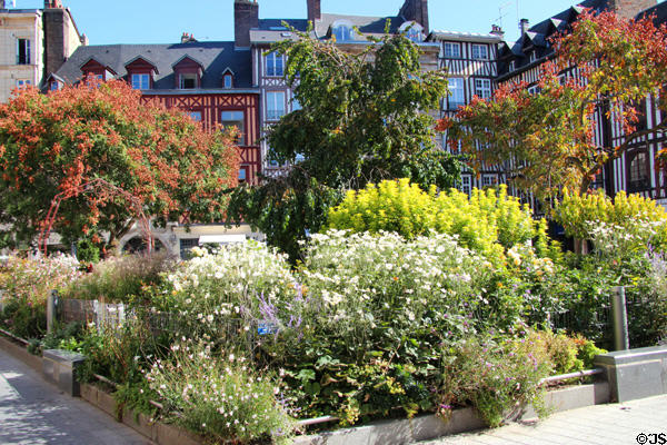 Garden on Place de la Pucelle. Rouen, France.