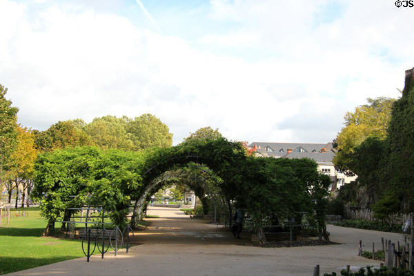 Walkway covered by vines near Angers Chateau. Angers, France.