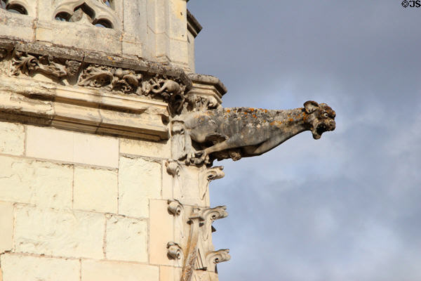 Gargoyle on St Hubert's Chapel at Chateau Royal of Amboise. Amboise, France.